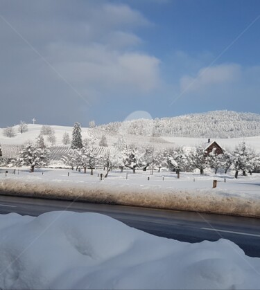 Winter wonder switzerlamd