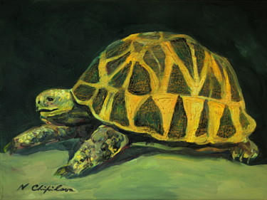 Tortue d'Hermann