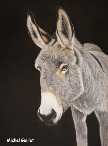 Dessin intitulée "Le petit grison" par Michel Guillet, Œuvre d'art originale, Pastel