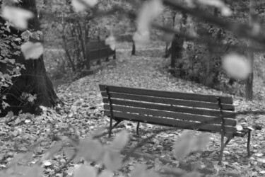 摄影 标题为“View of Bench in bl…” 由Alen Gurovic, 原创艺术品, 非操纵摄影