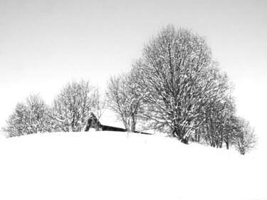 Photography titled "Blancheur hivernale" by Florence Pouget-Landrieu, Original Artwork, Digital Photography