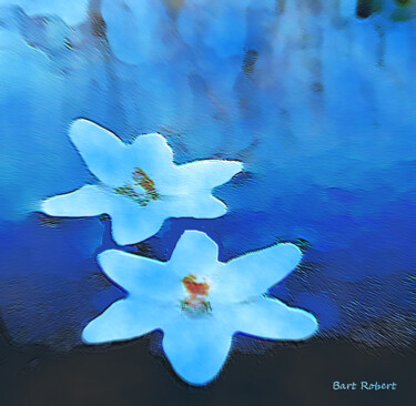 数字艺术 标题为“Fleurs dans l'eau” 由Roberto Bartoccini, 原创艺术品, 数字油画