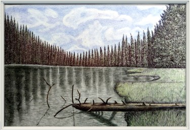 Disegno intitolato "Озеро" da Sergei Burdyk, Opera d'arte originale, Matita