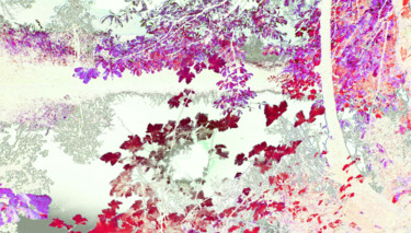 Photography titled "Infra Rouge" by Michel Guillaumeau, Original Artwork, Digital Photography