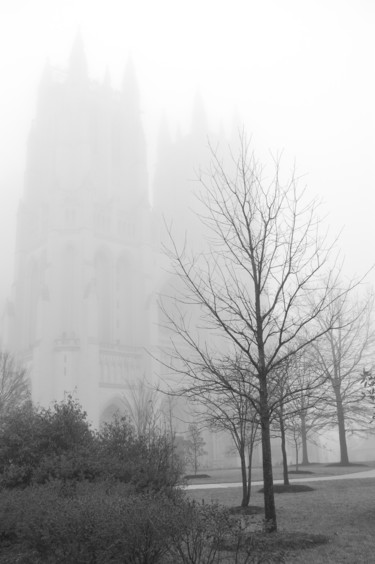 Photographie intitulée "Winter's Rest" par Llewellyn Berry, Œuvre d'art originale, Photographie numérique