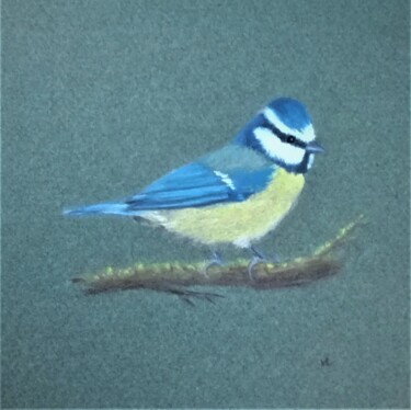 Mésange Peinture intitulée "Mésange" par Véronique Lenfant, Œuvre d'art originale, Pastel