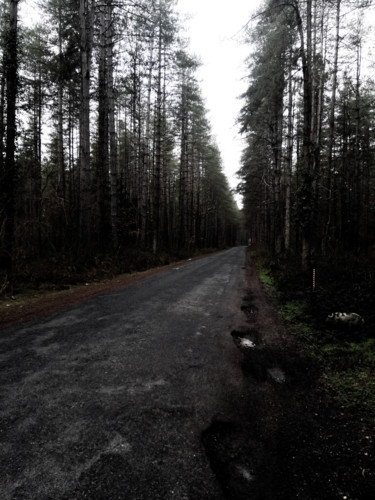 Fotografie mit dem Titel "route foret" von Antoine Marelle, Original-Kunstwerk, Manipulierte Fotografie