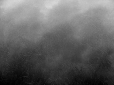 Photography titled "Noir et Blanc..." by Philippe Berthier, Original Artwork, Digital Photography