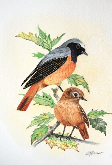 rouge queue à front blanc- aquarelle signée Painting titled "rouge queue à front…" by Patricia Giroldini Hyvernat, Original Artwork, Watercolor