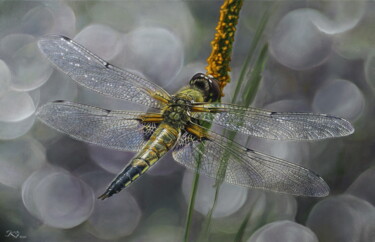 绘画 标题为“Dragonfly” 由Sergey Kuzmin, 原创艺术品, 油 安装在木质担架架上