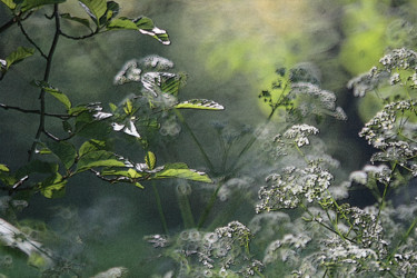 Coeur de forêt Photographie intitulée "Coeur de forêt" par Michel Guillaumeau, Œuvre d'art originale, Photographie manipulée