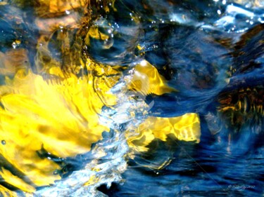 Magic waters photo aquatique sans titre N° 2