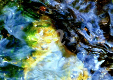Magic waters photo aquatique sans titre N° 15