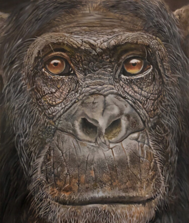 chimp 5 Schilderij getiteld "chimp 5" door Franzart, Origineel Kunstwerk, Olie