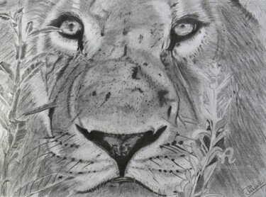 Drawing titled "Le Roi  Lion," by Pascale Scheip, Original Artwork, Graphite