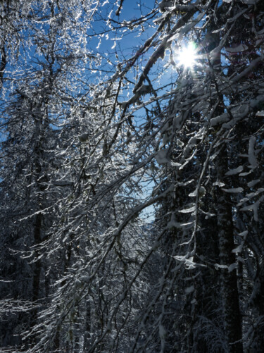 Photography titled "Lumière de l'hiver" by Florence Pouget-Landrieu, Original Artwork, Digital Photography