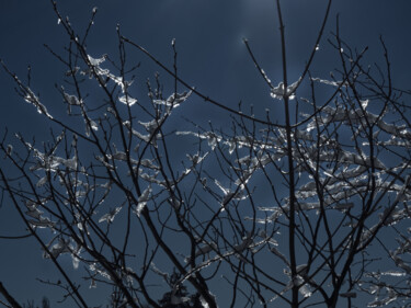 Photography titled "Branches glacées 2" by Florence Pouget-Landrieu, Original Artwork, Digital Photography