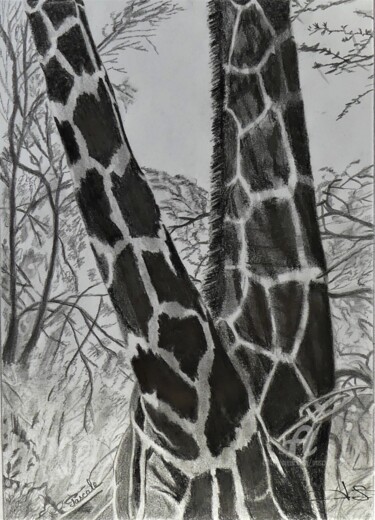Drawing titled "Girafes" by Pascale Scheip, Original Artwork, Pencil