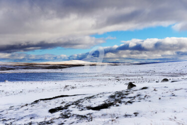 CAP AU GRAND NORD