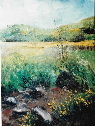 Palude