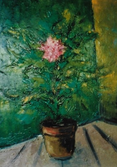 Fiore rosa in vaso