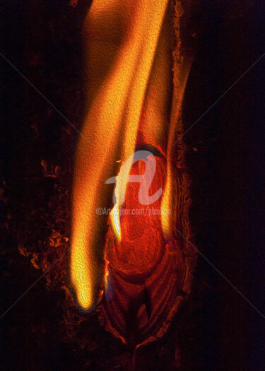 Photography titled "Feu 01" by Pierre Boillon, Original Artwork, Manipulated Photography