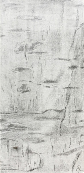 图画 标题为“Peau de bouleau” 由Camille Rouschmeyer, 原创艺术品, 铅笔