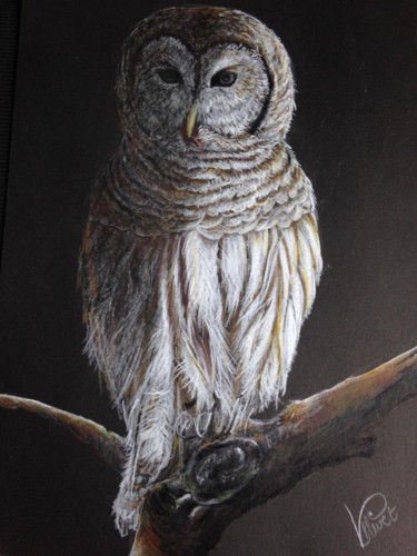 Dessin intitulée "La chouette" par Valérie Blivet, Œuvre d'art originale, Crayon