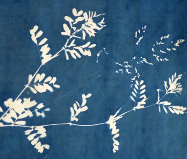 印花与版画 标题为“Adventices 6” 由Brigitte Bibard-Guillon, 原创艺术品, 雕刻 安装在纸板上