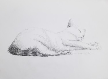 图画 标题为“Croquis de chat” 由Clarisse Lamotte, 原创艺术品, 铅笔