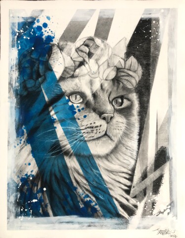 图画 标题为“Blue Maine Coon” 由Yannick Aaron, 原创艺术品, 木炭