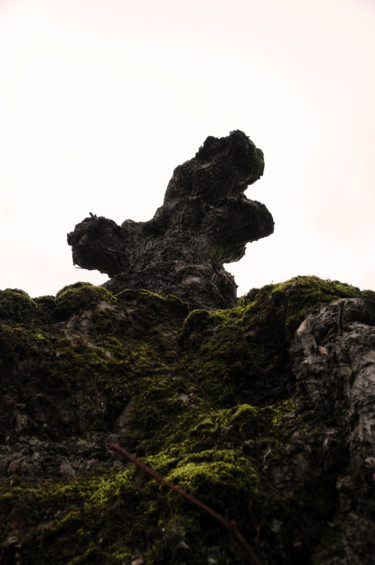 Photography titled "arbre 06" by Antoine Marelle, Original Artwork, Digital Photography