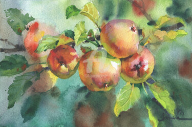 Peinture intitulée "Apples" par Samira Yanushkova, Œuvre d'art originale, Aquarelle