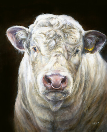 绘画 标题为“Charolais Bull” 由Una Hurst, 原创艺术品, 油 安装在木质担架架上