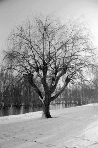 Photography titled "contre jour 01" by Antoine Marelle, Original Artwork, Digital Photography