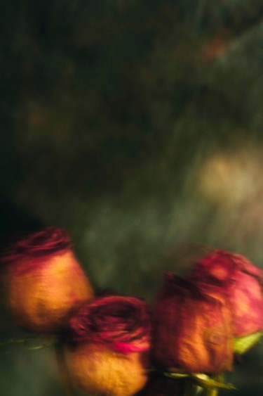 Photography titled "Dancing Roses III" by Sandra Platas Hernández, Original Artwork, Digital Photography