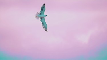Fotografia intitolato "Flight of the seagu…" da Emanuele De Vincenzo, Opera d'arte originale, Fotografia manipolata
