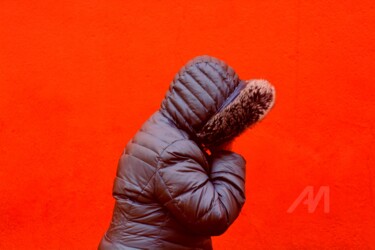 摄影 标题为“Winter” 由Alen Gurovic, 原创艺术品, 非操纵摄影