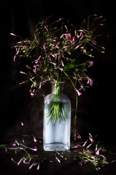 Photography titled "Lilies" by Sandra Platas Hernández, Original Artwork, Digital Photography