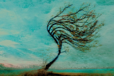 Digitale Kunst mit dem Titel "Baum vom Winde verw…" von Sigrid Gombert, Original-Kunstwerk, Digitale Malerei