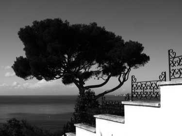 La Baudille Photographie intitulée "La Baudille" par Olivier Mangin, Œuvre d'art originale, Photographie numérique Monté sur Autre panne…