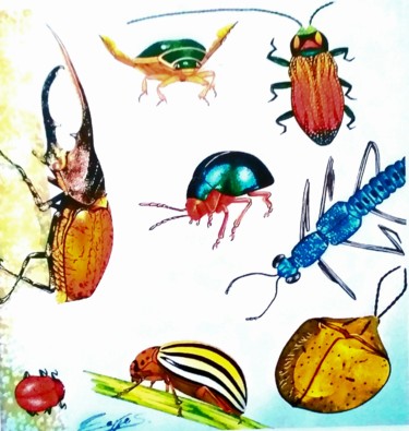 Painting titled "Coléoptères" by Sylvie Cappe, Original Artwork, Watercolor