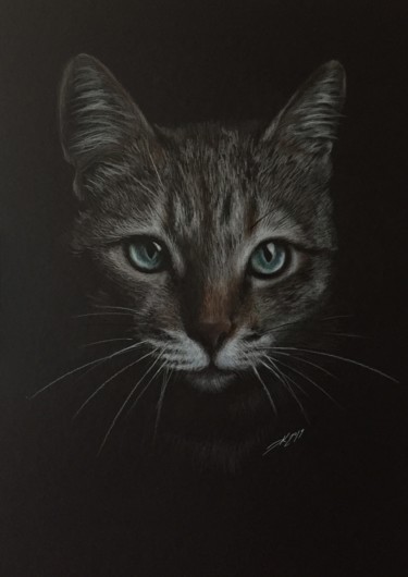 제목이 "Gray cat"인 그림 Evgeniy Karpenko로, 원작, 연필
