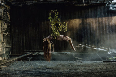 摄影 标题为“From the series "Fr…” 由Alex Grear, 原创艺术品, 数码摄影