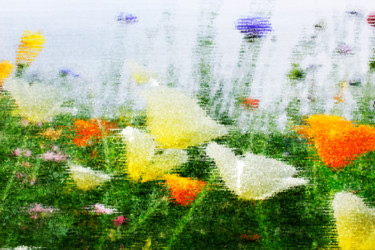 Digitale Kunst mit dem Titel "Mohn konkret Nr. 5" von Sigrid Gombert, Original-Kunstwerk, Digitale Malerei