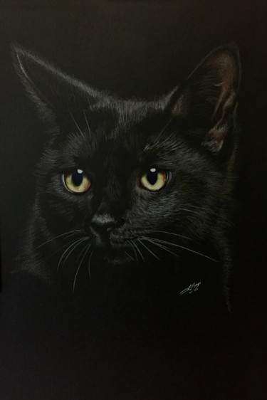 图画 标题为“Black cat” 由Evgeniy Karpenko, 原创艺术品, 铅笔