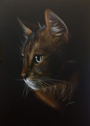 图画 标题为“Cat” 由Evgeniy Karpenko, 原创艺术品, 铅笔
