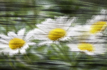 Digitale Kunst mit dem Titel "Margerite" von Sigrid Gombert, Original-Kunstwerk, Digitale Malerei