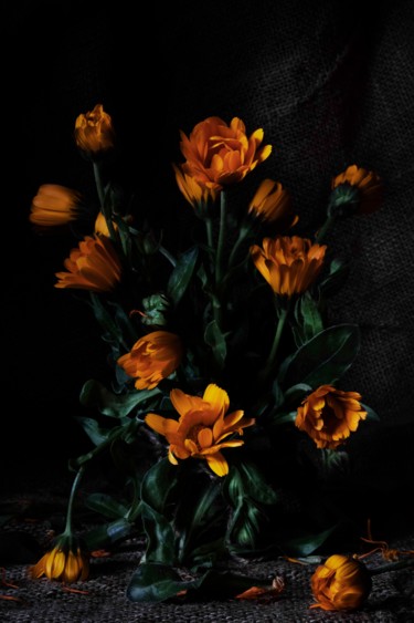 Photography titled "Flores de mi Jardín" by Sandra Platas Hernández, Original Artwork, Digital Photography