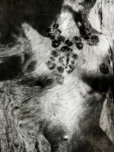 摄影 标题为“Le Collier de la Re…” 由Philippe Berthier, 原创艺术品, 操纵摄影